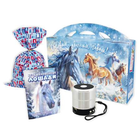 № 33 «Зимние просторы» 